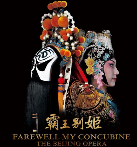 史丹福郡大学 Business degree certificate